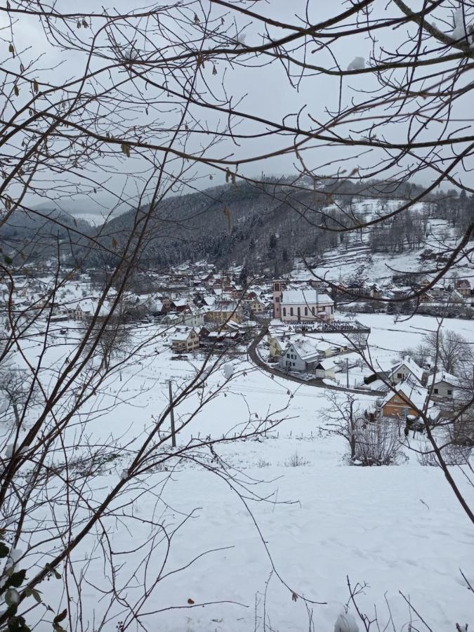 Le Des Kritter * Stosswihr