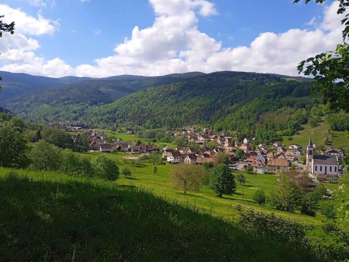 Le Des Kritter Holiday home Stosswihr